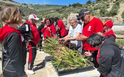 Día de campo en el Cortijo las Montoras