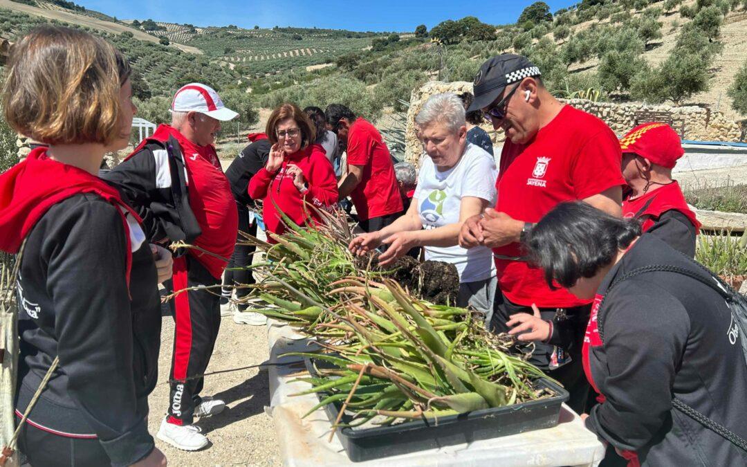 Día de campo en el Cortijo las Montoras