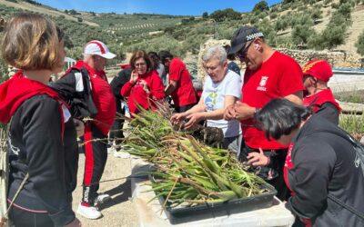 Día de campo en el Cortijo las Montoras